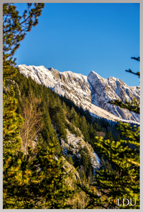 Tableau Sous Verre et Forex