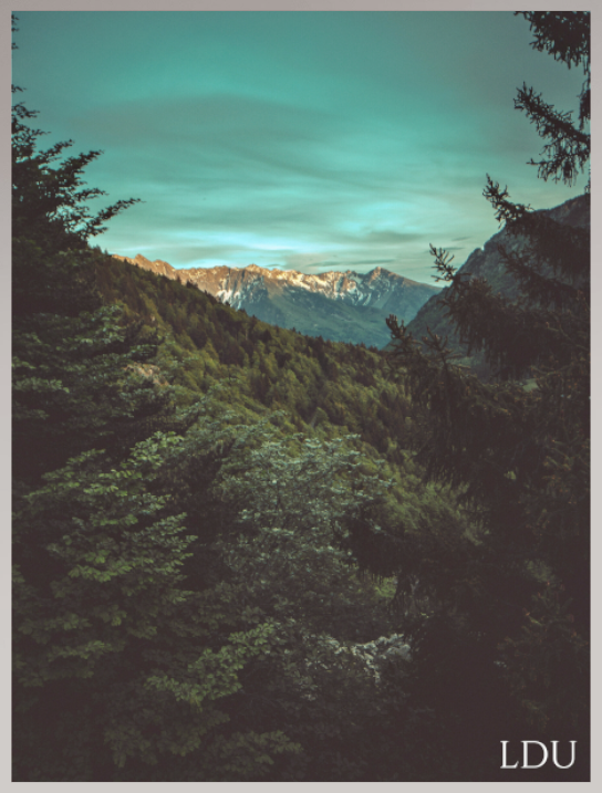 Tableau Sous Verre et Forex