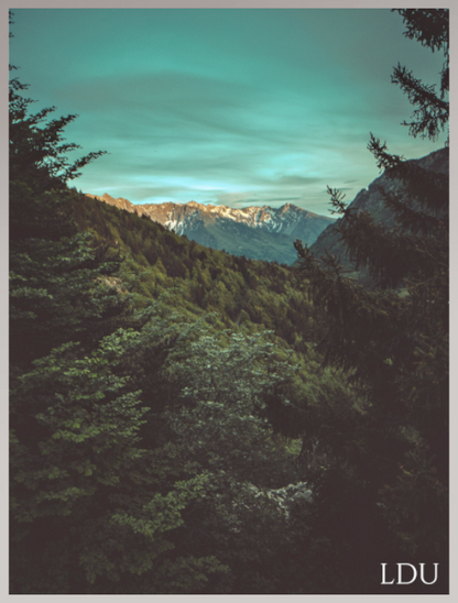 Tableau Sous Verre et Forex