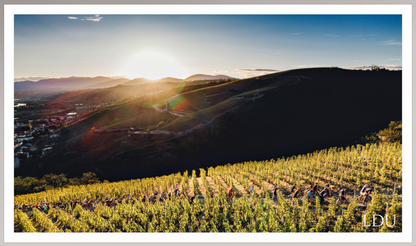 Tableau Sous Verre et Forex