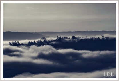 Tableau Sous Verre et Forex