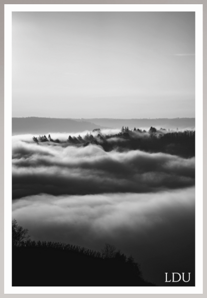 Tableau Sous Verre et Forex