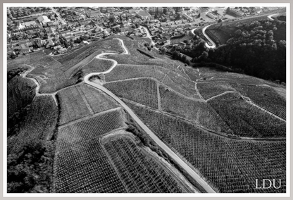 Tableau Sous Verre et Forex