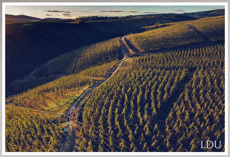 Tableau Sous Verre et Forex