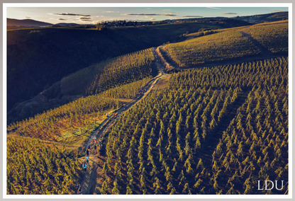 Tableau Sous Verre et Forex