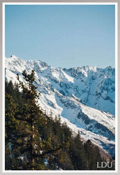 Tableau Sous Verre et Forex