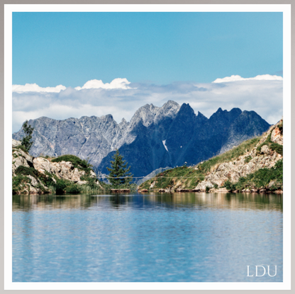 Tableau Sous Verre et Forex