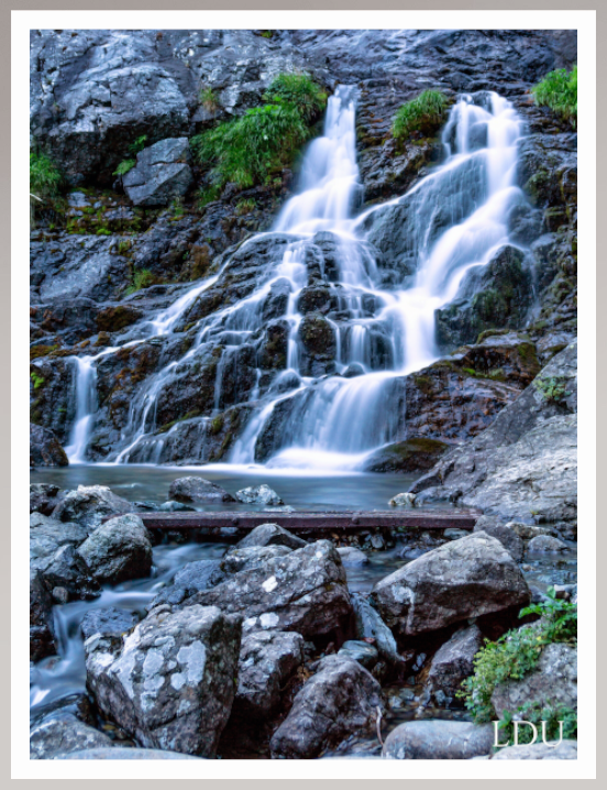 Tableau Sous Verre et Forex