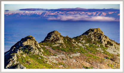 Tableau Sous Verre et Forex