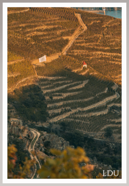 Tableau Sous Verre et Forex