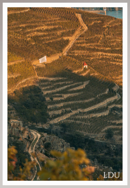 Tableau Sous Verre et Forex