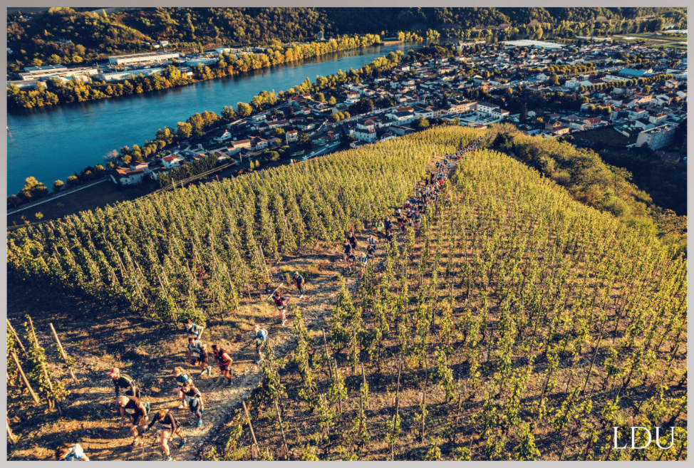 Tableau Sous Verre et Forex