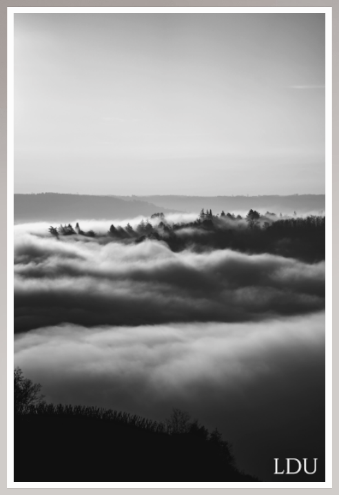 Tableau Sous Verre et Forex