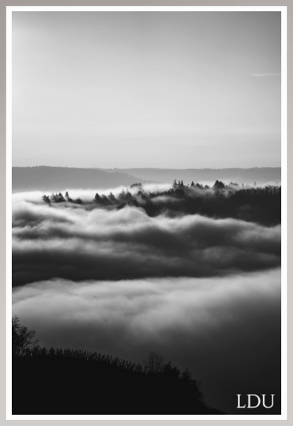 Tableau Sous Verre et Forex