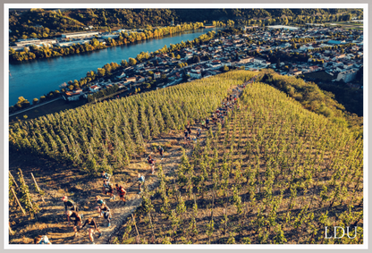 Tableau Sous Verre et Forex