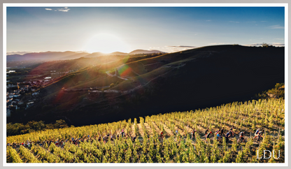 Tableau Sous Verre et Forex