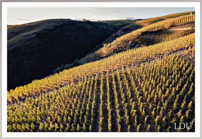 Tableau Sous Verre et Forex