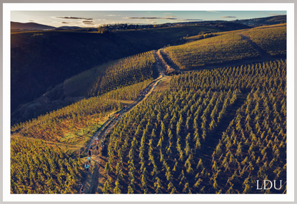 Tableau Sous Verre et Forex