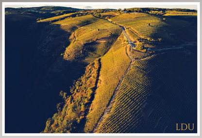 Tableau Sous Verre et Forex