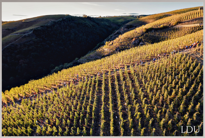 Tableau Sous Verre et Forex