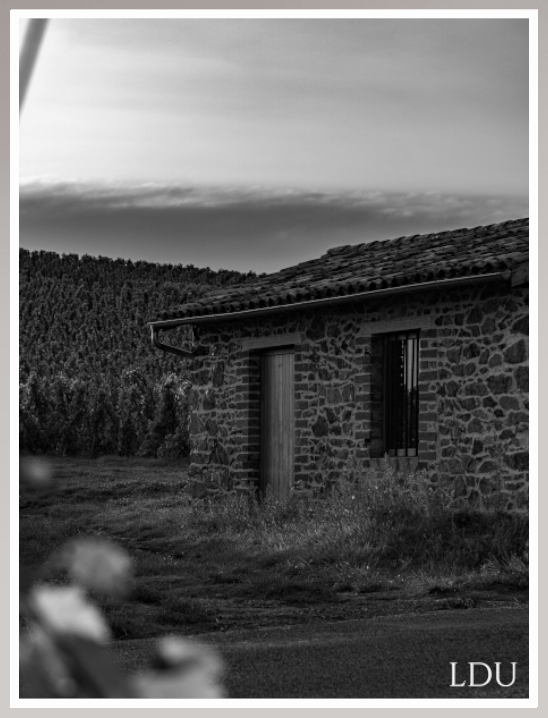 Tableau Sous Verre et Forex