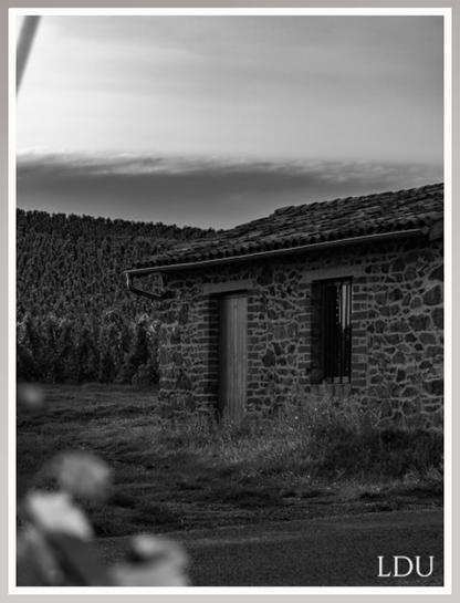 Tableau Sous Verre et Forex