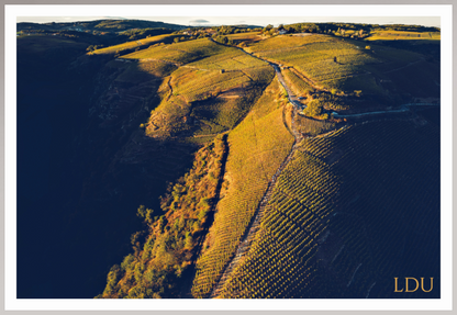 Tableau Sous Verre et Forex