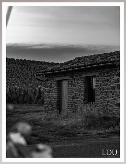 Tableau Sous Verre et Forex