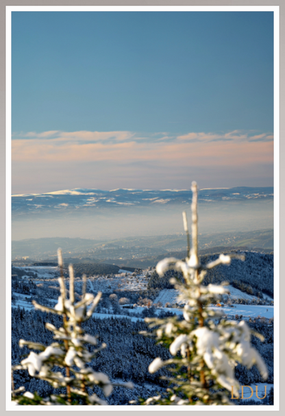 Tableau Sous Verre et Forex