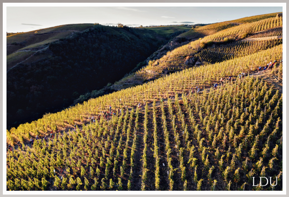 Tableau Sous Verre et Forex