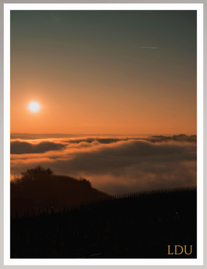 Tableau Sous Verre et Forex