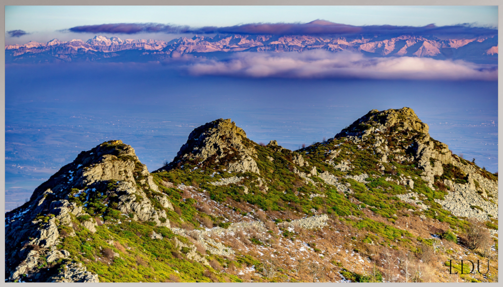 Tableau Sous Verre et Forex