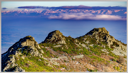 Tableau Sous Verre et Forex