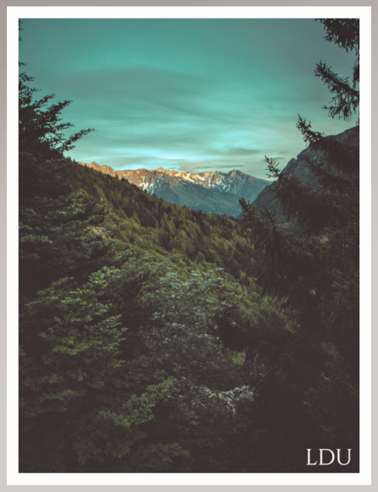 Tableau Sous Verre et Forex