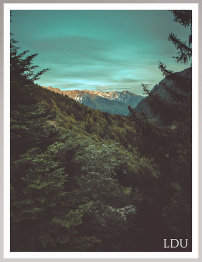 Tableau Sous Verre et Forex