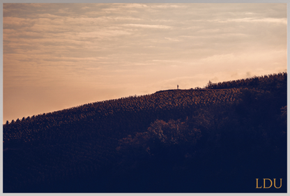 Tableau Sous Verre et Forex