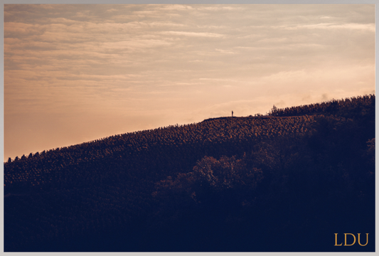 Tableau Sous Verre et Forex