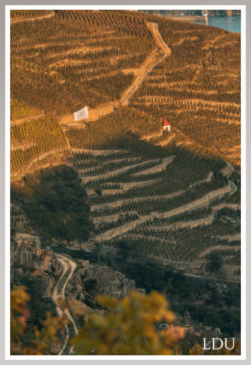 Tableau Sous Verre et Forex