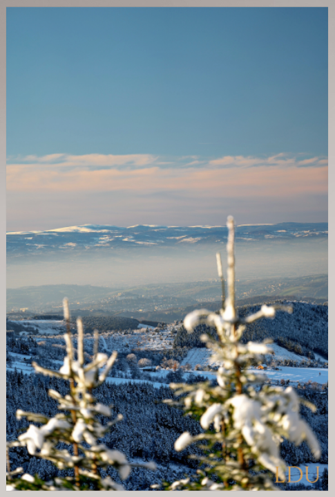 Tableau Sous Verre et Forex