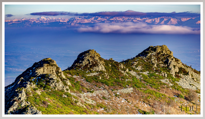 Tableau Sous Verre et Forex