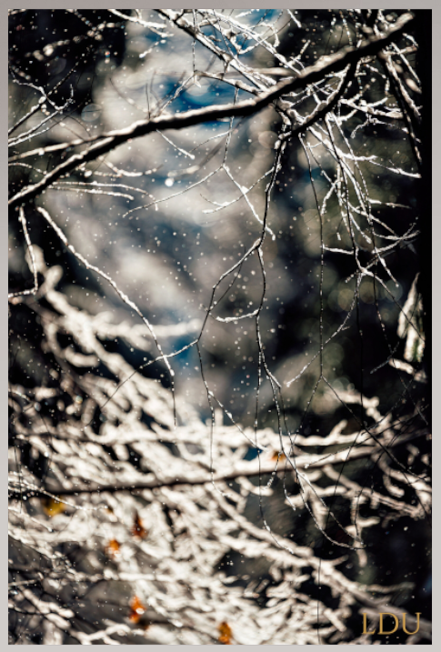 Tableau Sous Verre et Forex