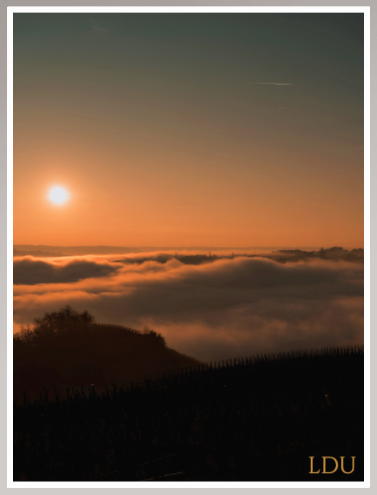 Tableau Sous Verre et Forex