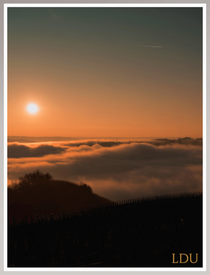 Tableau Sous Verre et Forex