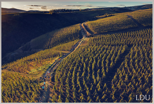 Tableau Sous Verre et Forex