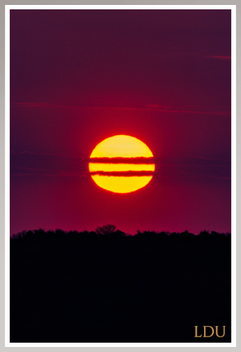 Tableau Sous Verre et Forex