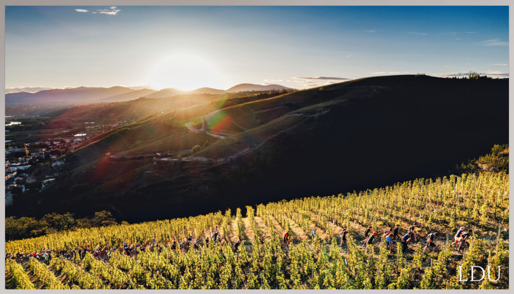 Tableau Sous Verre et Forex