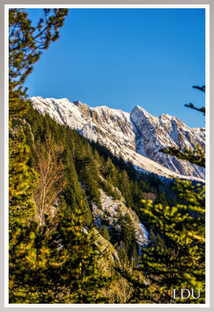 Tableau Sous Verre et Forex