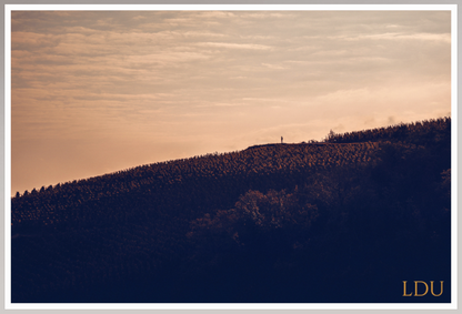 Tableau Sous Verre et Forex