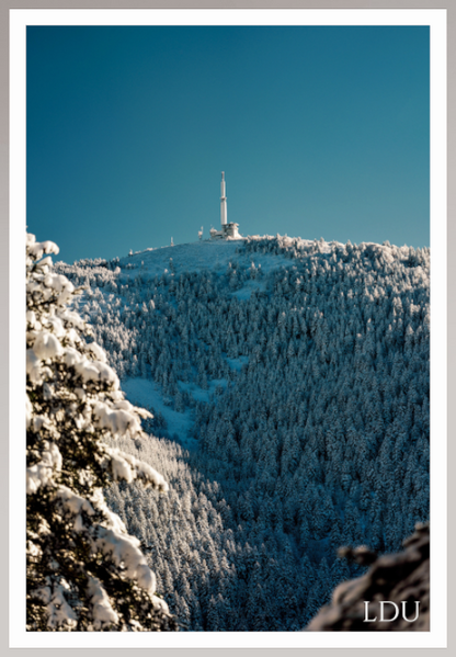 Tableau Sous Verre et Forex