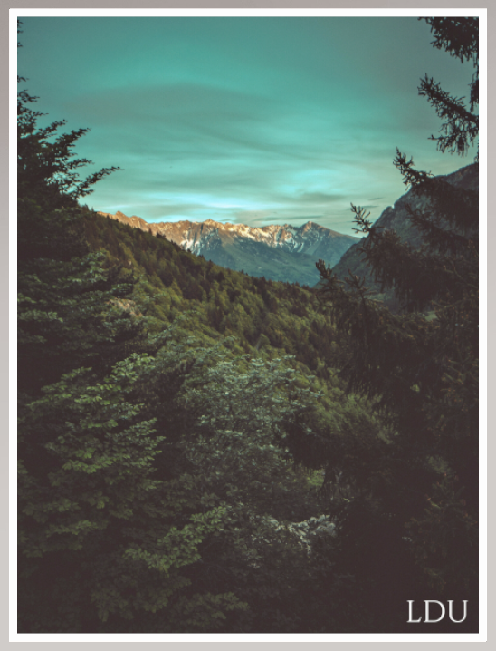 Tableau Sous Verre et Forex